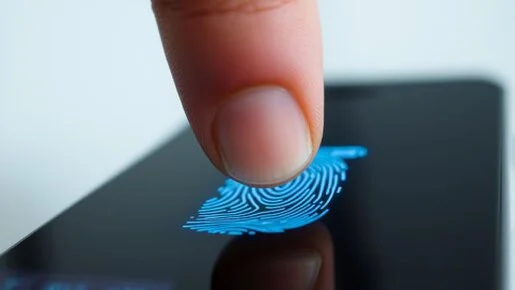 Risikominimierung und Betrugsvorbeugung Spezialisten für Risikominimierung und Betrugsvorbeugung